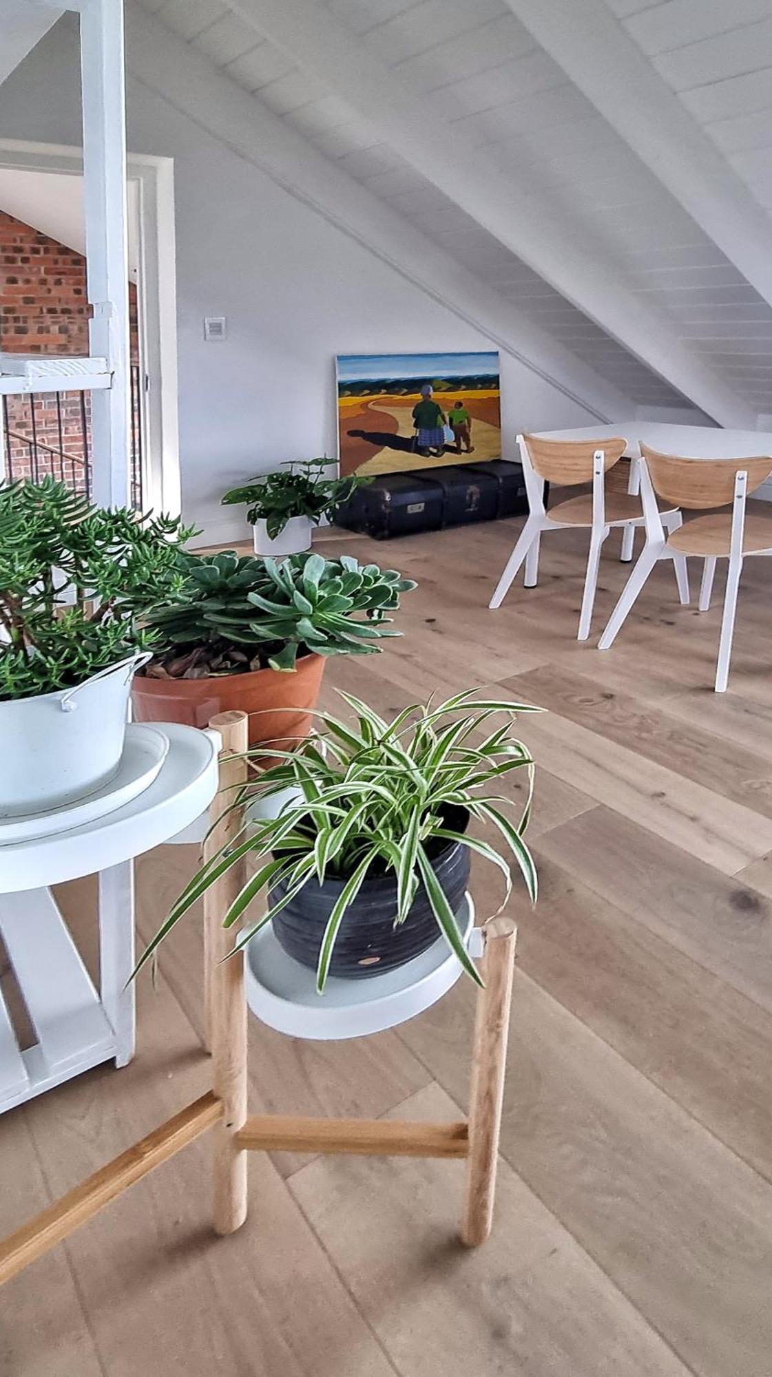 קאלק ביי The Dragon Tree Guesthouse מראה חיצוני תמונה