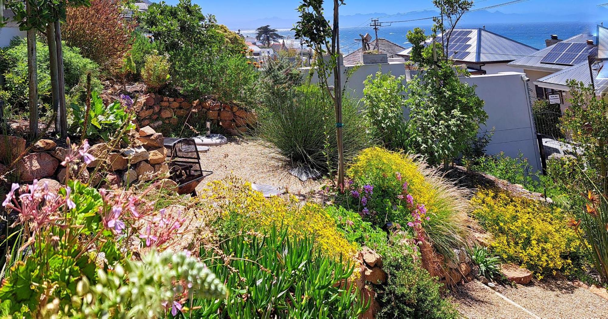 קאלק ביי The Dragon Tree Guesthouse מראה חיצוני תמונה