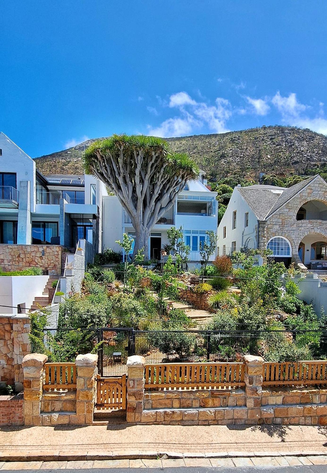 קאלק ביי The Dragon Tree Guesthouse מראה חיצוני תמונה