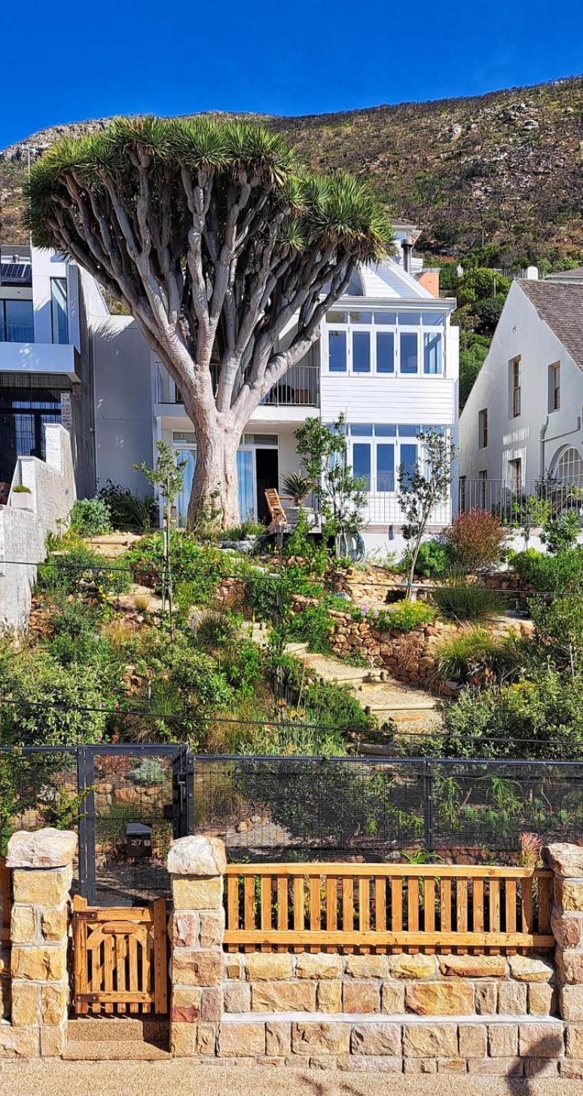 קאלק ביי The Dragon Tree Guesthouse מראה חיצוני תמונה